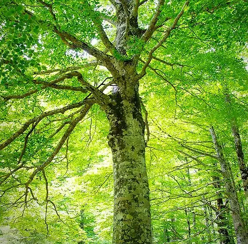 Lägenhet Casa Espanol *